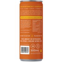 Alkmy Sparkling Tea African Ginger